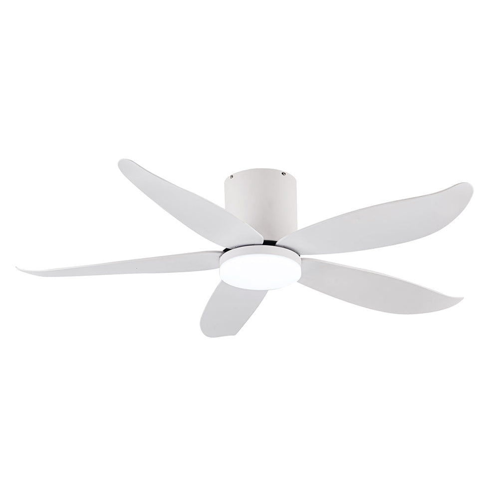 Fanco Rito-5 48"/54" Ceiling Fan