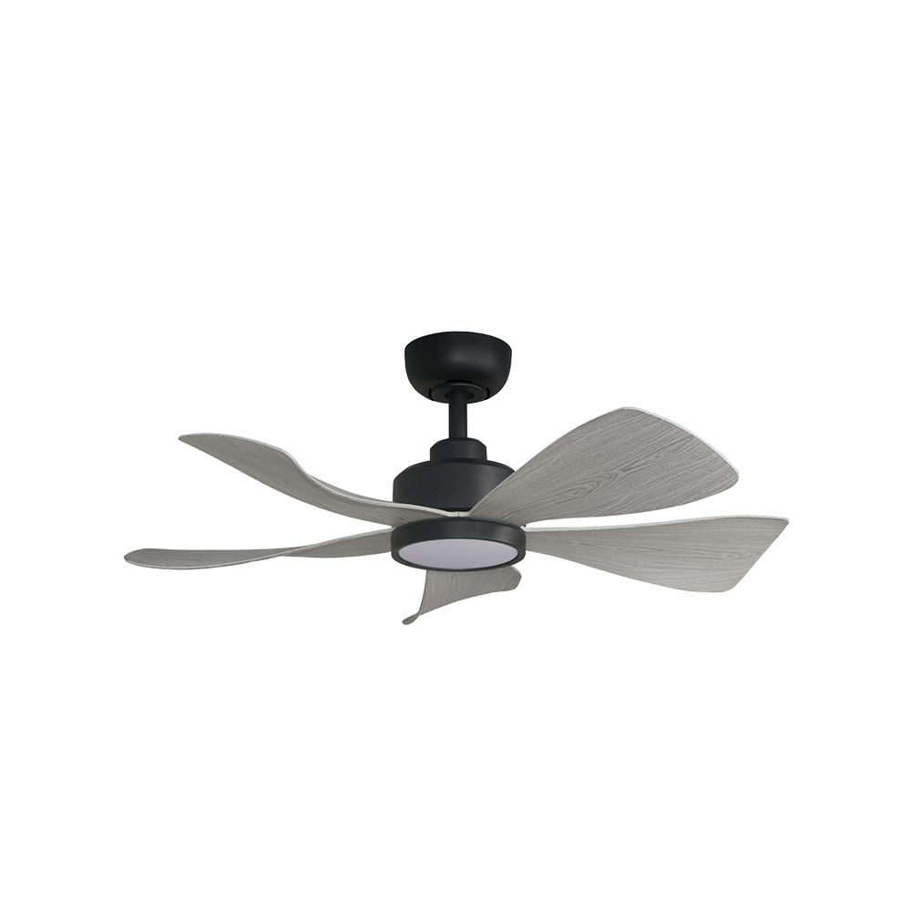 Alpha Hani Ceiling Fan