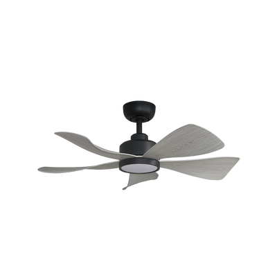 Alpha Hani Ceiling Fan