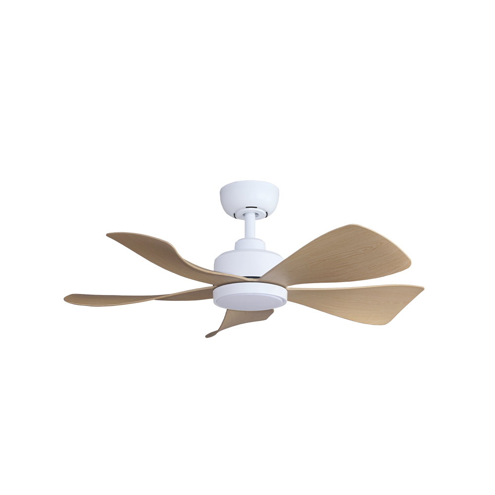Alpha Hani Ceiling Fan