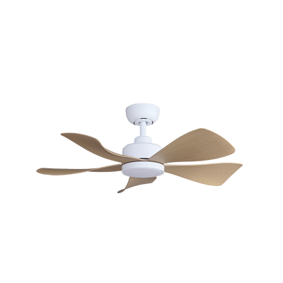 Alpha Hani Ceiling Fan