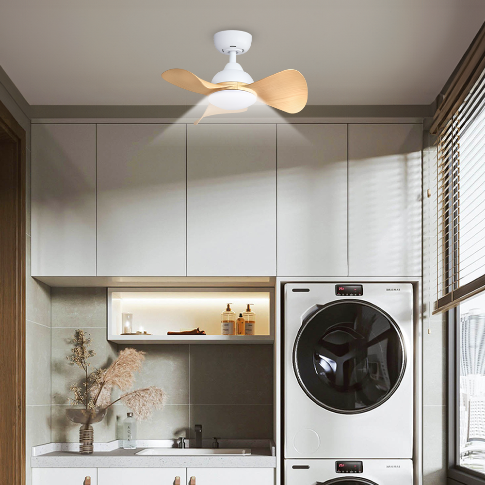 Alpha Mili Ceiling Fan