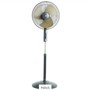 Other Fans